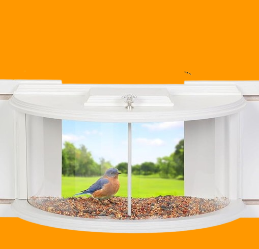 Wooden Bird Feeder with 180 Degree Clear View