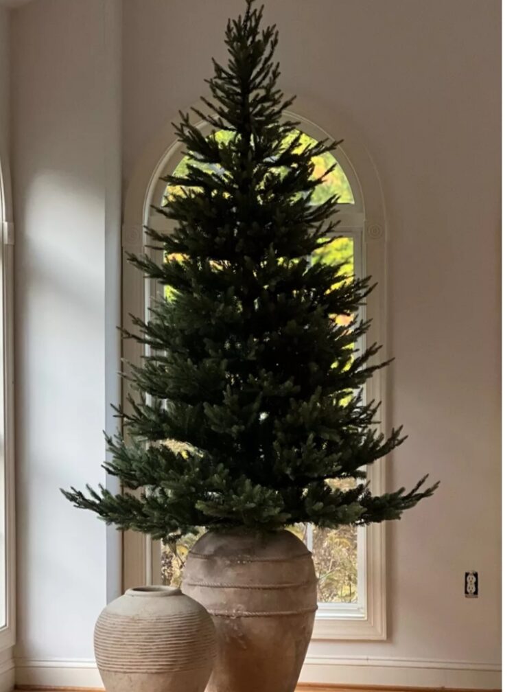 Christmas tree displayed in planter