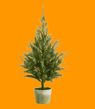 Viral Walmart tree llook-alike available now in amazon (viral tree)