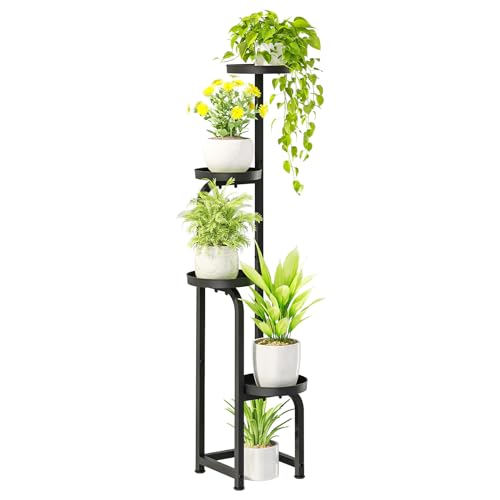 Best amazon corner plants