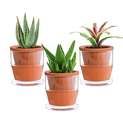 D’vine Dev 6 Inch Design Self Watering Plants pot