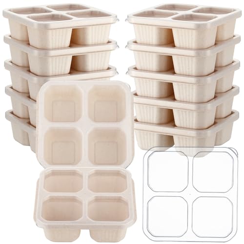 Adult lunchables, Amazon lunch box (meal prep)