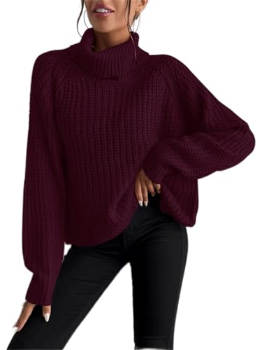 CVIZ Sweater for Women