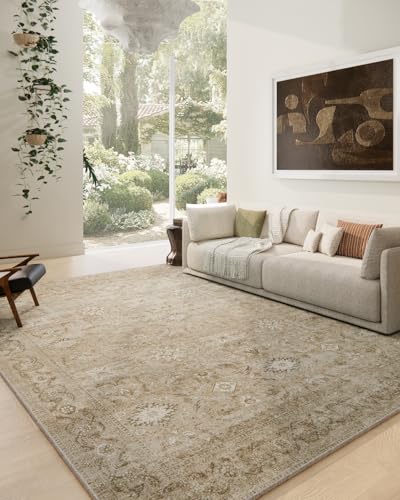 Washable Rug Living Room Area Rugs