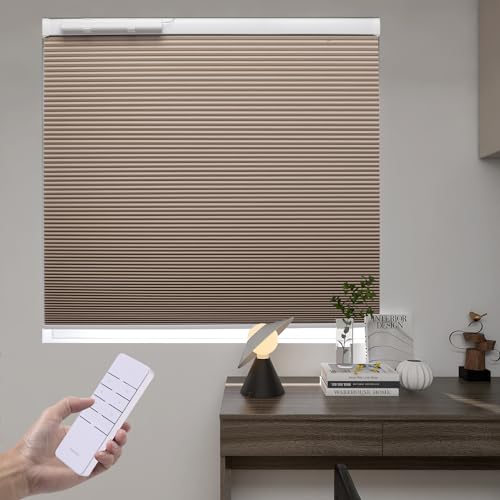 Motorized Blackout Cellular best Shades