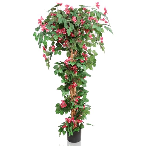 Outdoor favorites I own and love!