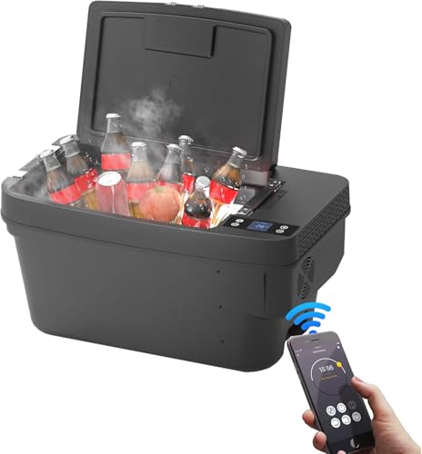 20L Car Freezer for Model 3