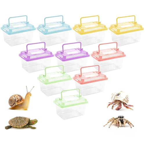 Best amazon finds Dino